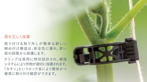 「GPEC」に初出展　施設栽培用クリップ育苗向け製品を紹介　レイモンアグリカルチャー