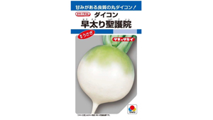 来年の干支「うさぎ」が略称「早太り聖護院ダイコン」を紹介　タキイ種苗