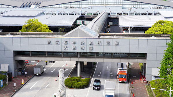 日本最大青果市場のニーズに対応「大田市場事務所　Showroom」新設　エフピコチューパ