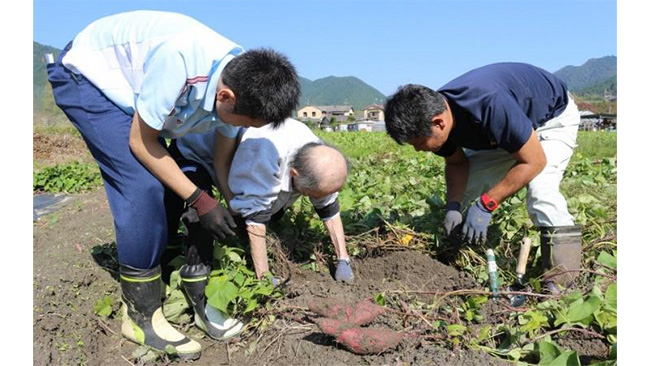 農業のリハビリ医療への有効性検証へ連携協定　タキイ種苗など三者