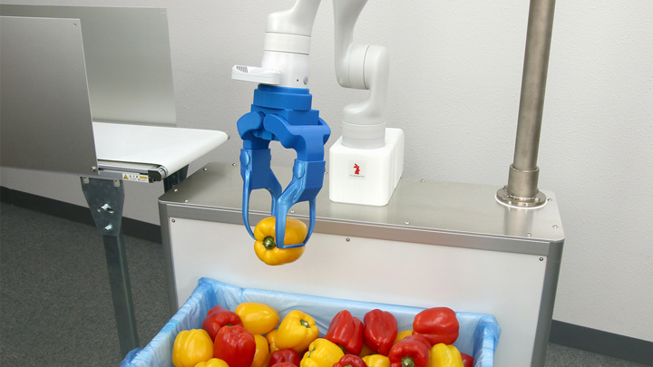 野菜投入ロボット用のビジョン＆ピッキングシステムを開発　アールティ