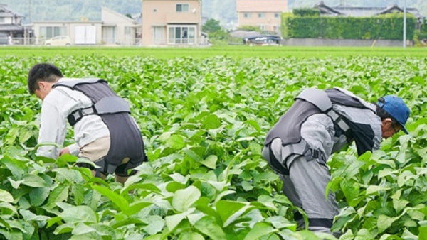 労働軽減アシストスーツ「ダーウィン ハコベルデ」量産開始　ダイヤ工業