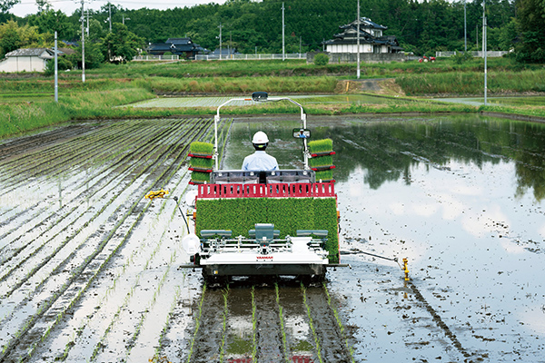 直進アシスト田植機を発売 ヤンマーアグリ | JAcom 農業協同組合新聞