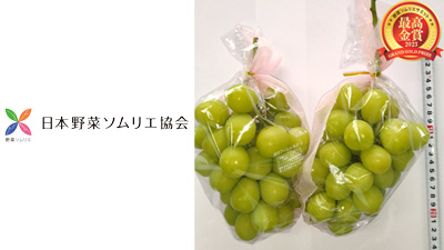 「野菜ソムリエサミット」10月度「青果部門」最高金賞2品など発表　日本野菜ソムリエ協会