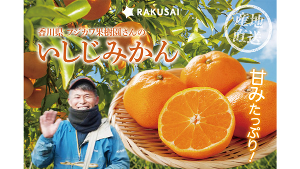 香川県フジカワ果樹園「いしじみかん」予約販売開始　RAKUSAI