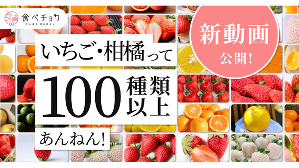 「いちご・柑橘って100種類以上あんねん！」品種の多様性伝える新動画を公開　食べチョク