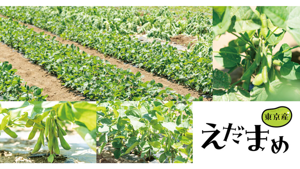 鮮度抜群の東京産枝豆を体感「東京クラフトえだまめ採れたてファームイベント」開催　ぐるなび