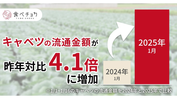 野菜価格高騰で産地直送の野菜を求める人が増加　特集ページ開設　食べチョク