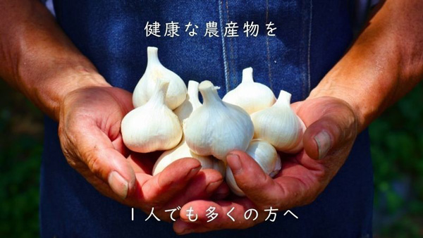 地震被災からの再起　青森・田子町のオーガニックにんにく農家がクラファン開始