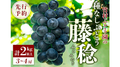 最大級の種なしぶどう「藤稔」ふるさと納税返礼品で先行予約開始　宮崎県新富町