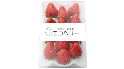 化学農薬不使用・完全LED栽培による「エコベリー」6月から量産出荷開始　TSUBU