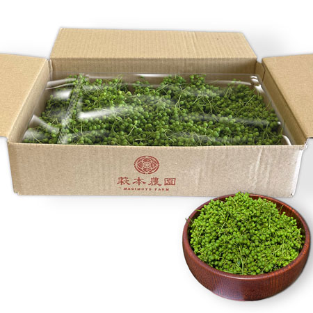 国産山椒の取り扱い拡大「奈良朝倉山椒」新発売 カネカサンスパイス