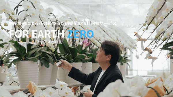 花の終わった胡蝶蘭の無料回収サービス「フォアスゼロ」開始 ヒカル
