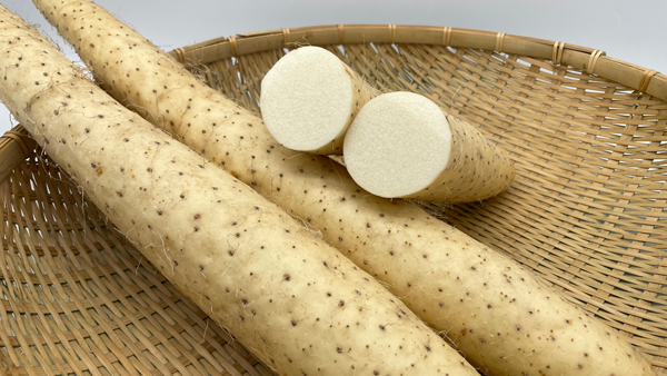 ＪＡ幕別町とコラボ　長芋「とかち太郎」使用の新メニュー発売　ファンデリー