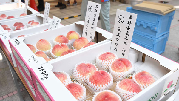 兵庫県川西市　特産早生桃「日川白鳳」即売会に長蛇の列