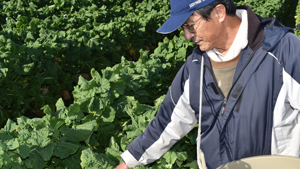 ＪＡ京都中央とコラボ「花菜」「京はたけ菜」使用メニュー新発売　ファンデリー