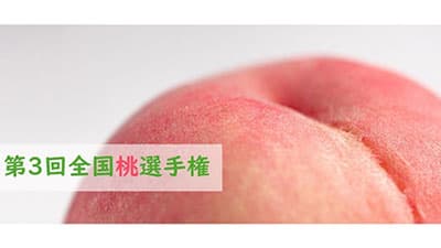 「第3回 全国桃選手権」開催　全国から45品がエントリー　日本野菜ソムリエ協会