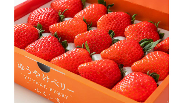 福島の新しいいちご「ゆうやけベリー」フェア　日本橋ふくしま館MIDETTEで10日から開催